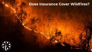 A wildfire burns through a forest at night, illuminating trees with orange flames. White text at the top asks, “Does insurance cover wildfires?” A white tree logo appears in the lower left corner.