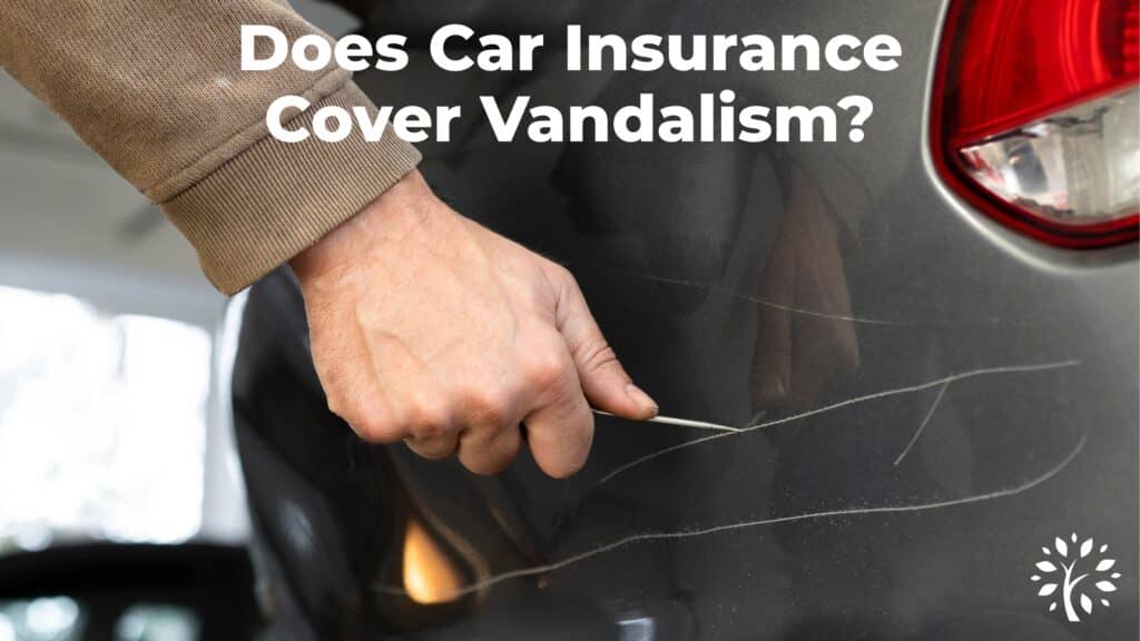 A person’s hand scratches the side of a dark-colored car with a sharp object; bold white text asks, “Does car insurance cover vandalism?” A small tree logo appears in the bottom right corner.