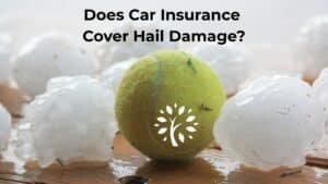 A yellow tennis ball sits among several large hailstones on a wooden surface. The text above asks, "Does Car Insurance Cover Hail Damage?" highlighting concerns about protecting your vehicle from unexpected weather. A white tree logo is on the tennis ball.